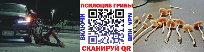 кракен зеркало  darknet какой сайт  Рославль  Галлюциногенные грибы ЛСД  наркошоп 